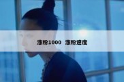 涨粉1000  涨粉速度