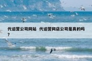 代运营公司网站  代运营网店公司是真的吗?