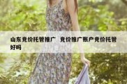 山东竞价托管推广  竞价推广账户竞价托管好吗