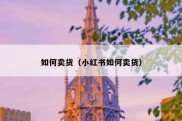 如何卖货（小红书如何卖货）