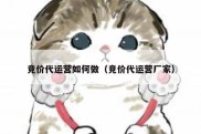 竞价代运营如何做（竞价代运营厂家）