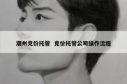 潮州竞价托管  竞价托管公司操作流程