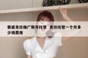 娄底竞价推广账号托管  竞价托管一个月多少钱费用