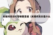 关键词竞价托管哪里靠谱（关键词竞价是什么）