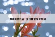 郑州竞价托管  竞价托管专业公司