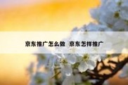 京东推广怎么做  京东怎样推广