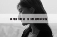 商州竞价托管  竞价托管哪家便宜
