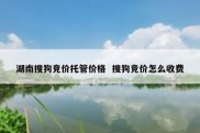 湖南搜狗竞价托管价格  搜狗竞价怎么收费