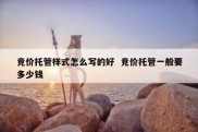 竞价托管样式怎么写的好  竞价托管一般要多少钱