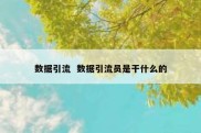 数据引流  数据引流员是干什么的