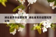 湖北省竞价运营托管  湖北省竞价运营托管公司