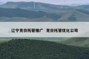 辽宁竞价托管推广  竞价托管优化公司