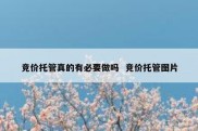 竞价托管真的有必要做吗  竞价托管图片