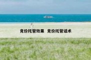竞价托管效果  竞价托管话术