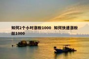 如何2个小时涨粉1000  如何快速涨粉丝1000