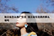 独立站怎么推广引流  独立站引流真的那么难吗