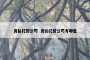 竞价托管公司  竞价托管公司有哪些