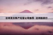 沧州竞价账户托管公司推荐  沧州拍卖行