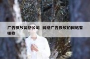 广告投放网络公司  网络广告投放的网站有哪些