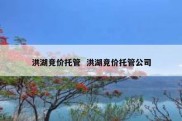 洪湖竞价托管  洪湖竞价托管公司