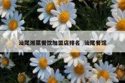 汕尾湘菜餐饮加盟店排名  汕尾餐馆