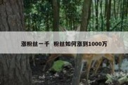 涨粉丝一千  粉丝如何涨到1000万