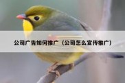 公司广告如何推广（公司怎么宣传推广）