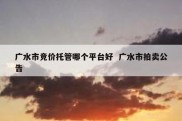 广水市竞价托管哪个平台好  广水市拍卖公告