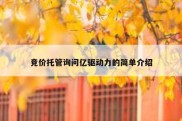 竞价托管询问亿驱动力的简单介绍