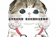 小河竞价托管  竞价托管的注意事项