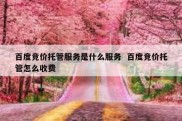 百度竞价托管服务是什么服务  百度竞价托管怎么收费
