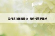 沿河竞价托管报价  竞价托管那里好