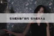 引力魔方推广技巧  引力魔方入口