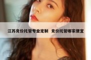 江苏竞价托管专业定制  竞价托管哪家便宜