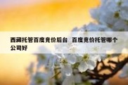 西藏托管百度竞价后台  百度竞价托管哪个公司好