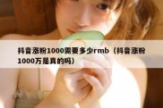 抖音涨粉1000需要多少rmb（抖音涨粉1000万是真的吗）