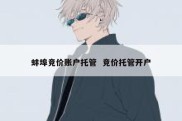 蚌埠竞价账户托管  竞价托管开户