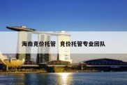 海南竞价托管  竞价托管专业团队