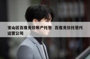 宝山区百度竞价账户托管  百度竞价托管代运营公司