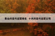 象山抖音代运营排名  十大抖音代运营公司