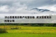 汉口百度竞价账户托管价格  武汉百度竞价托管公司