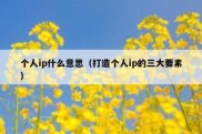 个人ip什么意思（打造个人ip的三大要素）