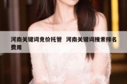 河南关键词竞价托管  河南关键词搜索排名费用
