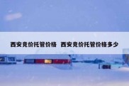 西安竞价托管价格  西安竞价托管价格多少