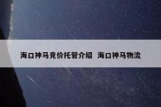 海口神马竞价托管介绍  海口神马物流