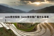 sem竞价投放（sem竞价推广是什么意思）