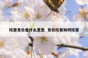 托管竞价是什么意思  竞价托管如何托管