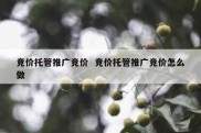 竞价托管推广竞价  竞价托管推广竞价怎么做
