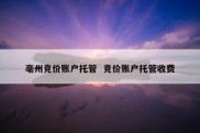 亳州竞价账户托管  竞价账户托管收费