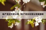 帐户竞价托管公司（帐户竞价托管公司有哪些）